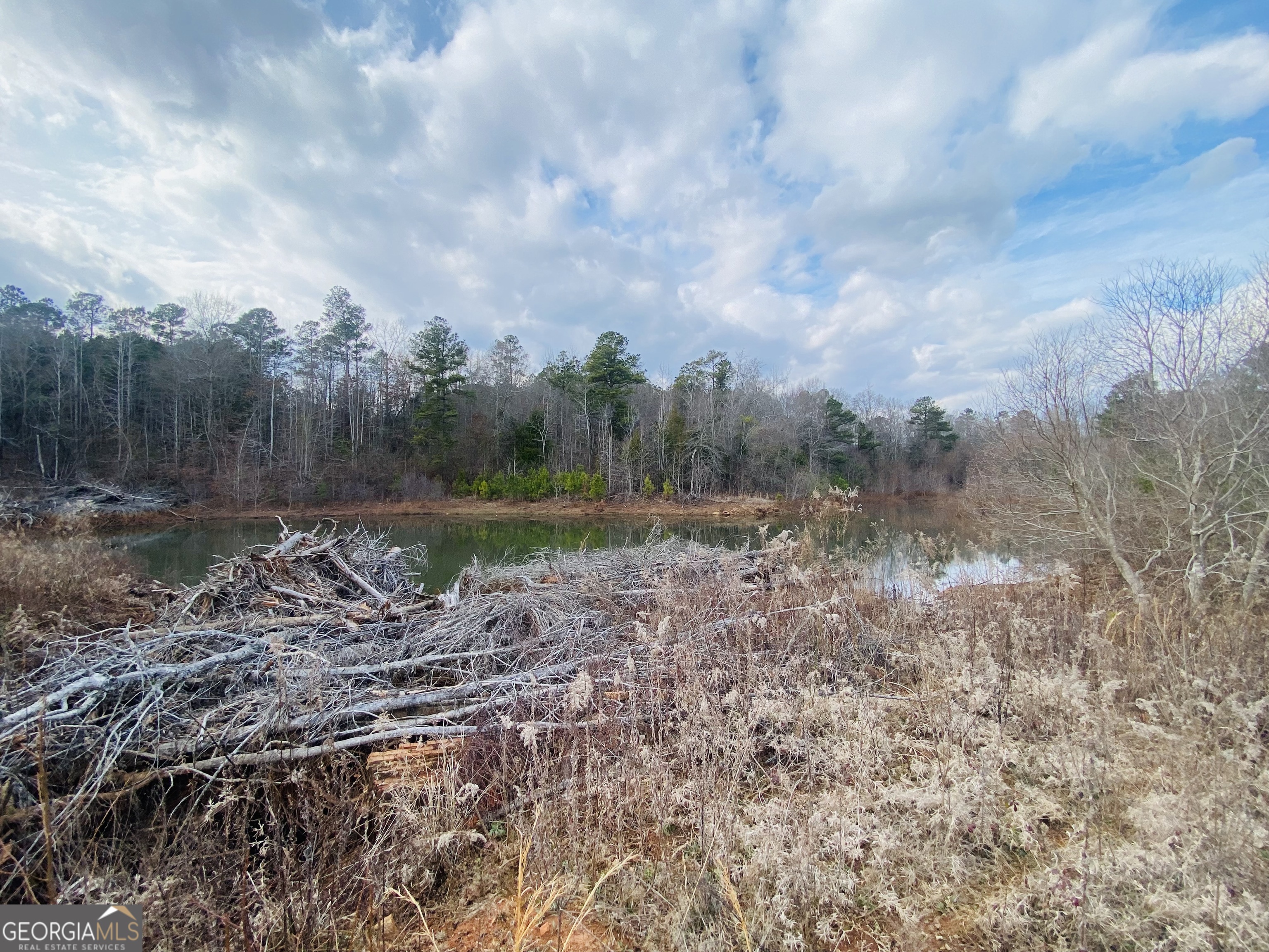 95 Knight Trail Thomaston, GA 30286 - Photo 6 of 14