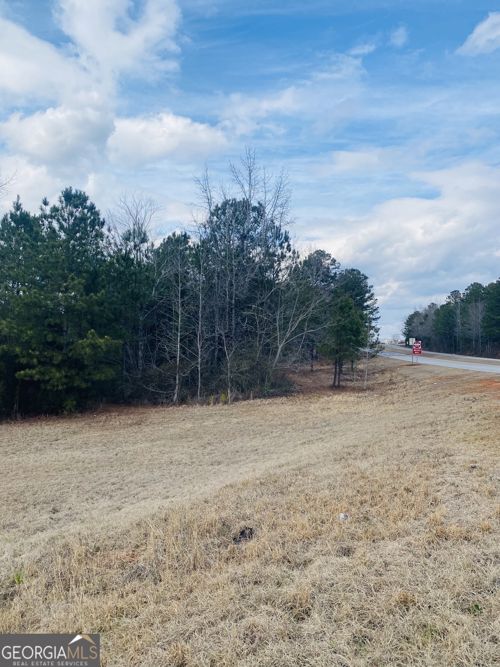 95 Knight Trail Thomaston, GA 30286 - Photo 8 of 14