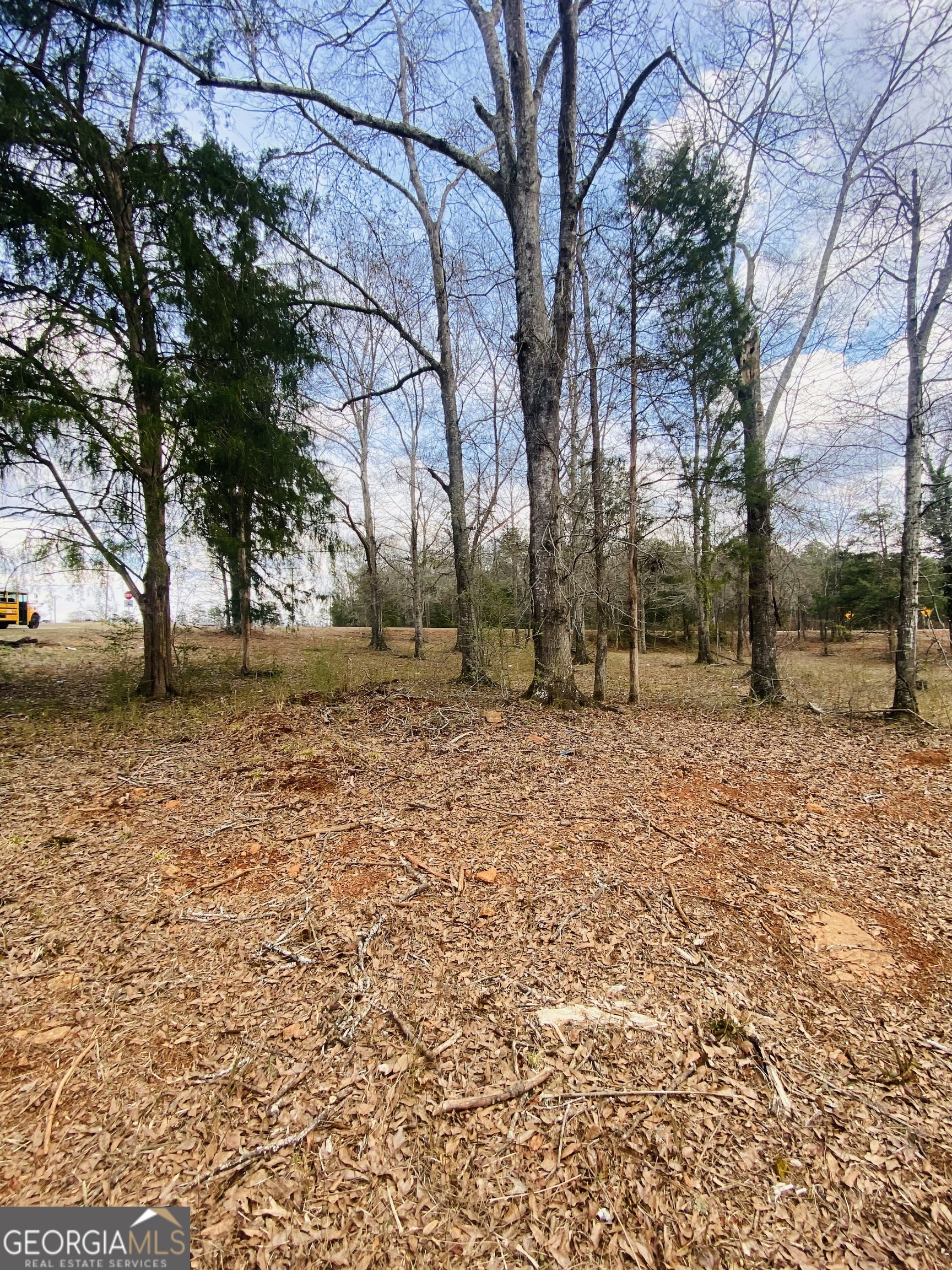 95 Knight Trail Thomaston, GA 30286 - Photo 10 of 14