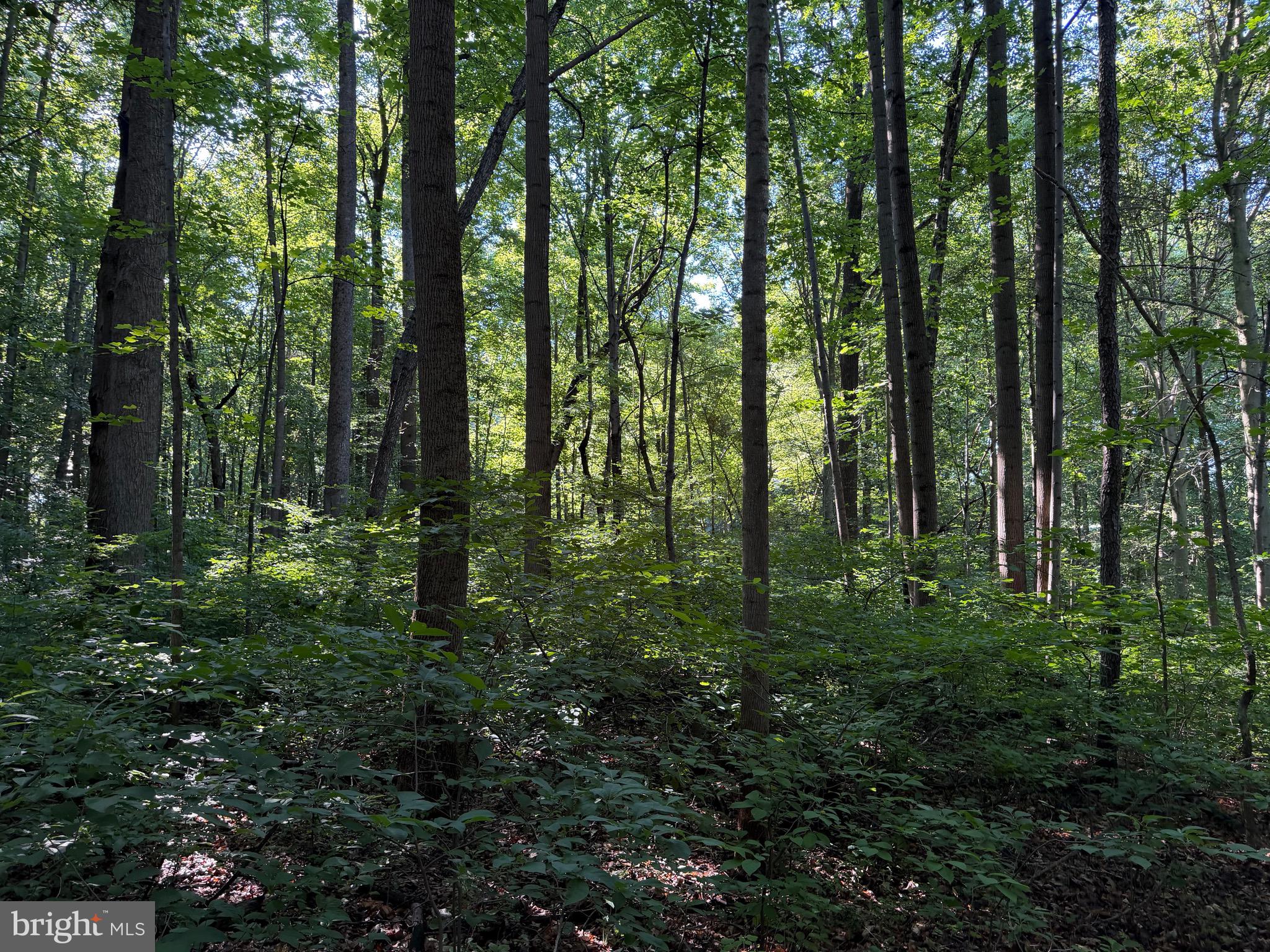 0 Rock Springs Road Conowingo, MD 21918 - Photo 74 of 79