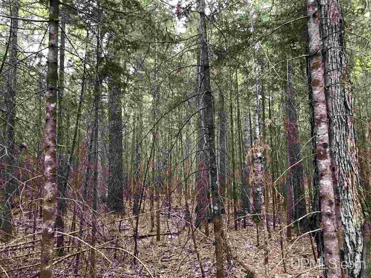 Tbd River Road, Unit PARCEL 3 Gulliver, MI 49854 - Photo 19 of 42