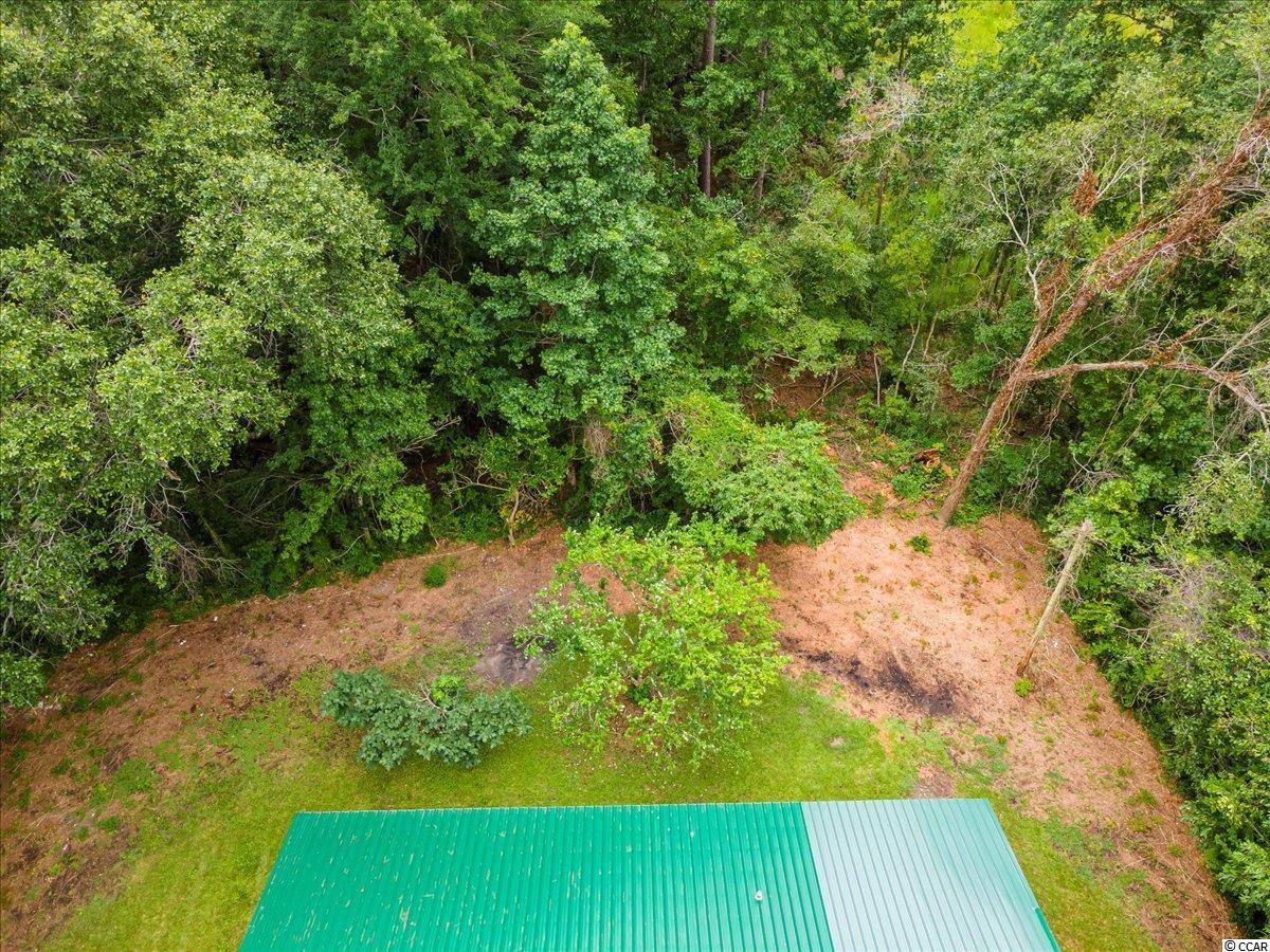 938 Ray Road Hemingway, SC 29554 - Photo 16 of 36