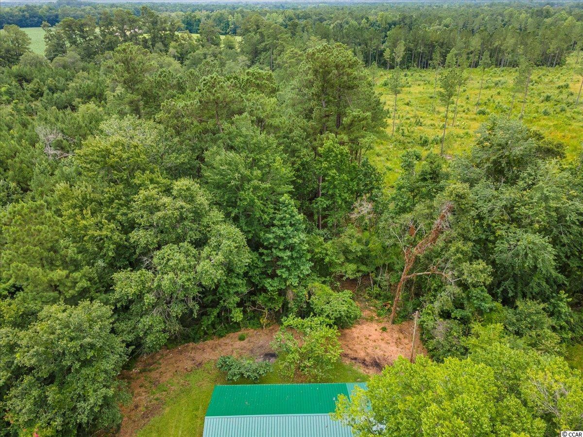 938 Ray Road Hemingway, SC 29554 - Photo 20 of 36