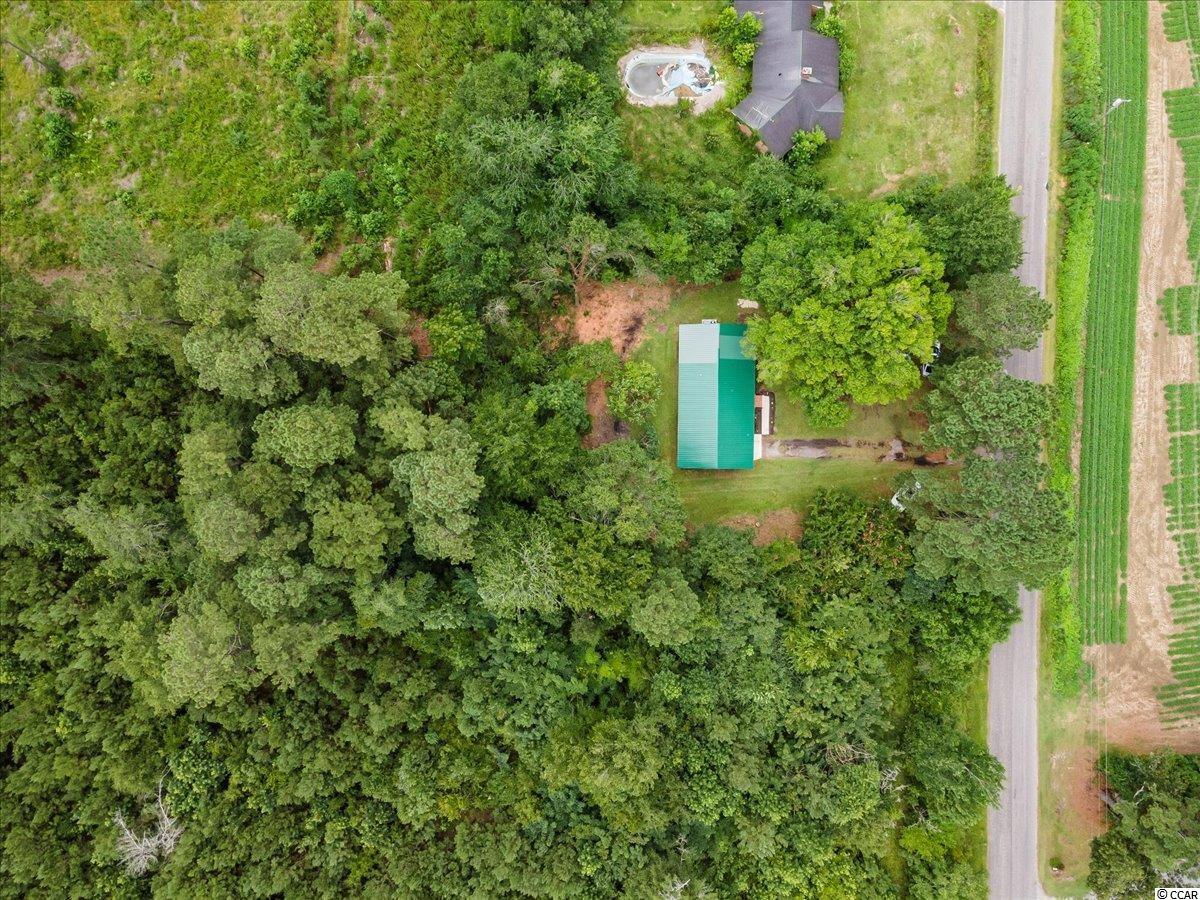 938 Ray Road Hemingway, SC 29554 - Photo 26 of 36