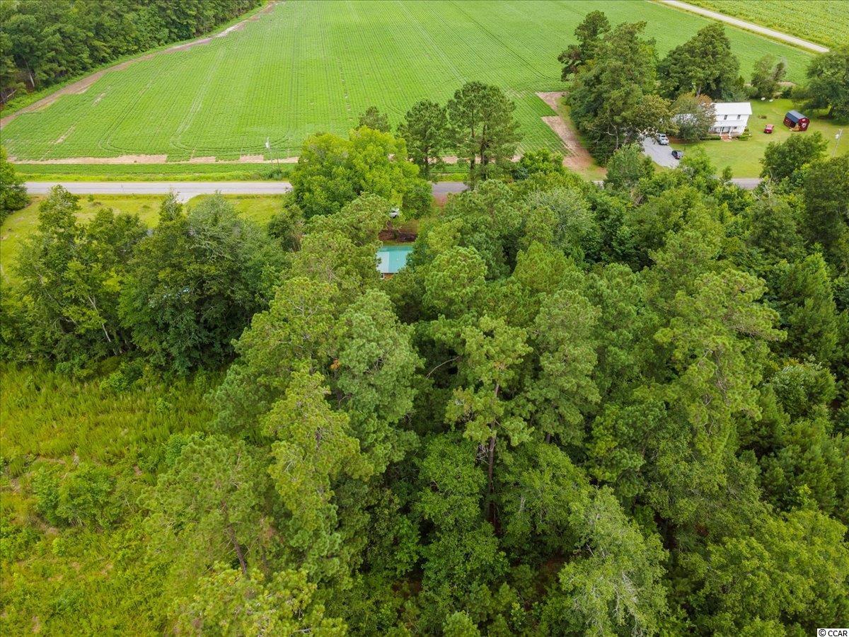 938 Ray Road Hemingway, SC 29554 - Photo 32 of 36