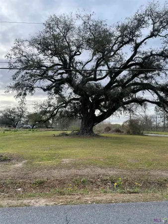$68,800 | 0 Highway 1011 Napoleonville La, Napoleonville, LA 70390