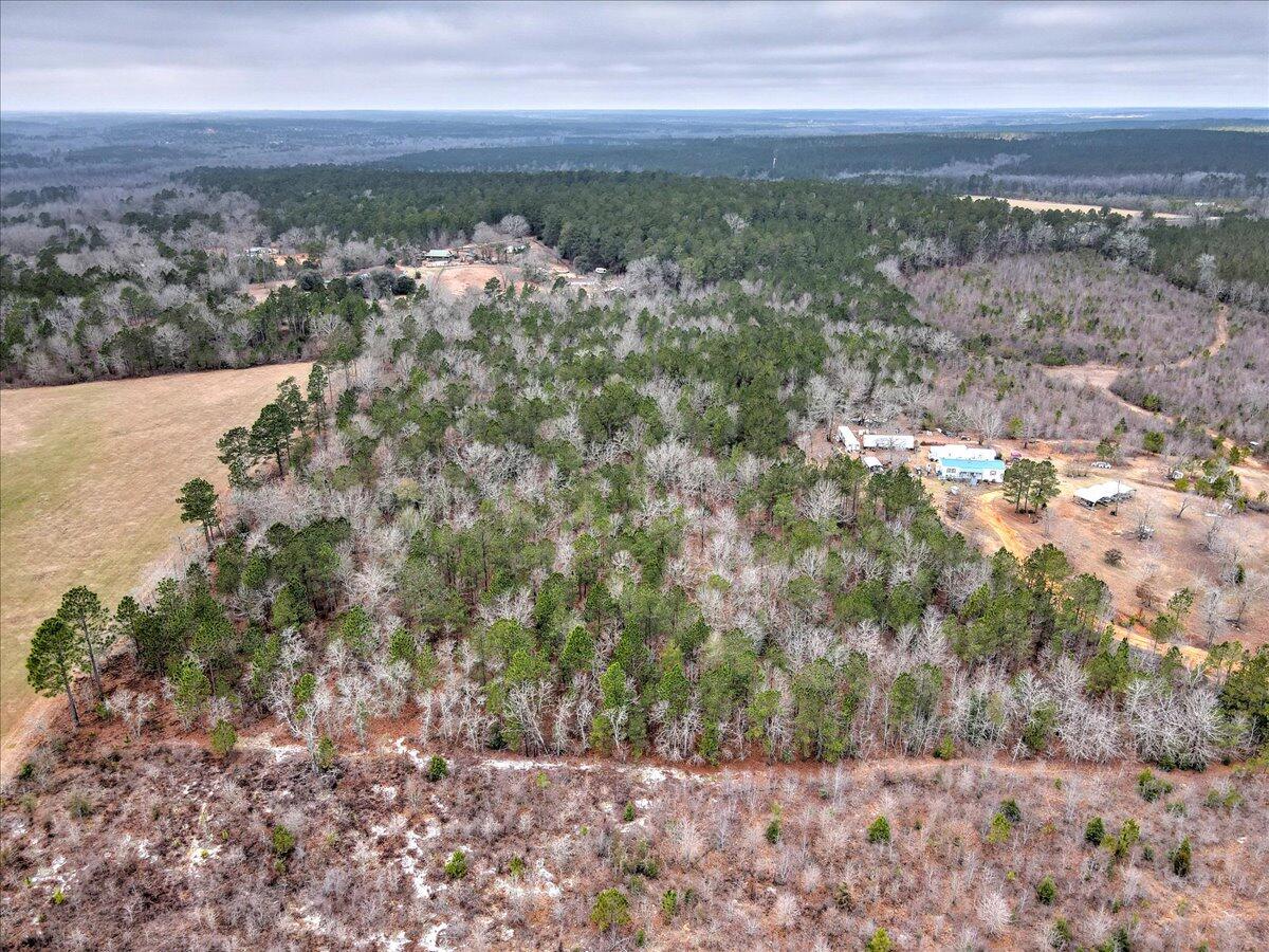 Tr-5 West Wilderness Road Williston, SC 29853 - Photo 4 of 14