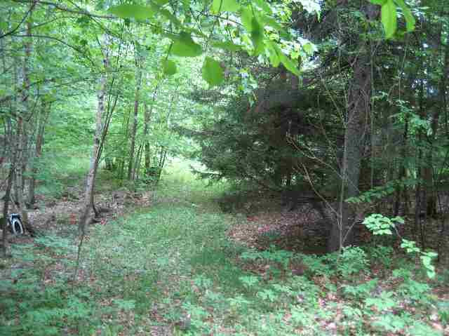 231 Federal City Road Broome, NY 12469 - Photo 4 of 8 Photo 4