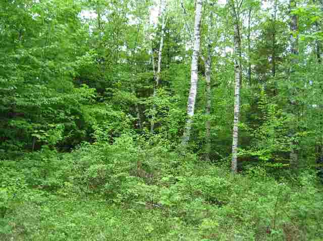 231 Federal City Road Broome, NY 12469 - Photo 5 of 8 Photo 5