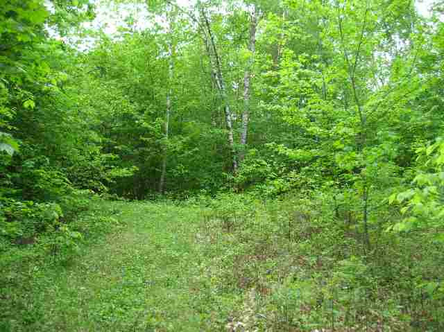 231 Federal City Road Broome, NY 12469 - Photo 6 of 8 Photo 6
