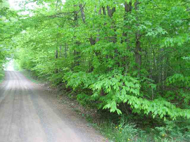 231 Federal City Road Broome, NY 12469 - Photo 7 of 8 Photo 7