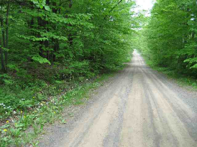 231 Federal City Road Broome, NY 12469 - Photo 8 of 8 Photo 8