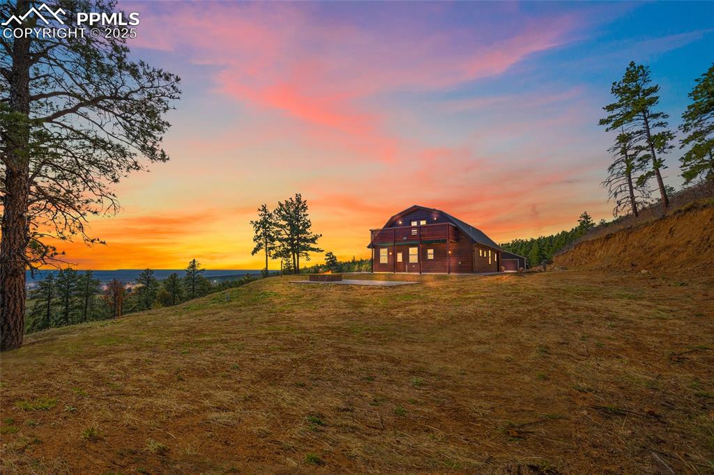 a view of a large body of water with a tree