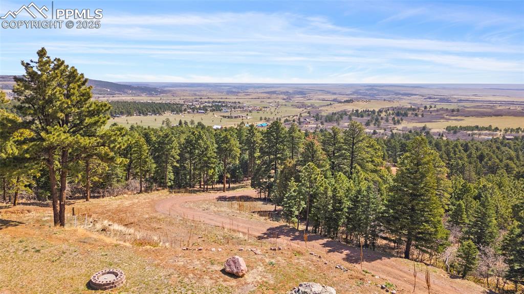 10739 Arnold Lane Rye, CO 81069 - Photo 48 of 50 a view of a yard with a tree