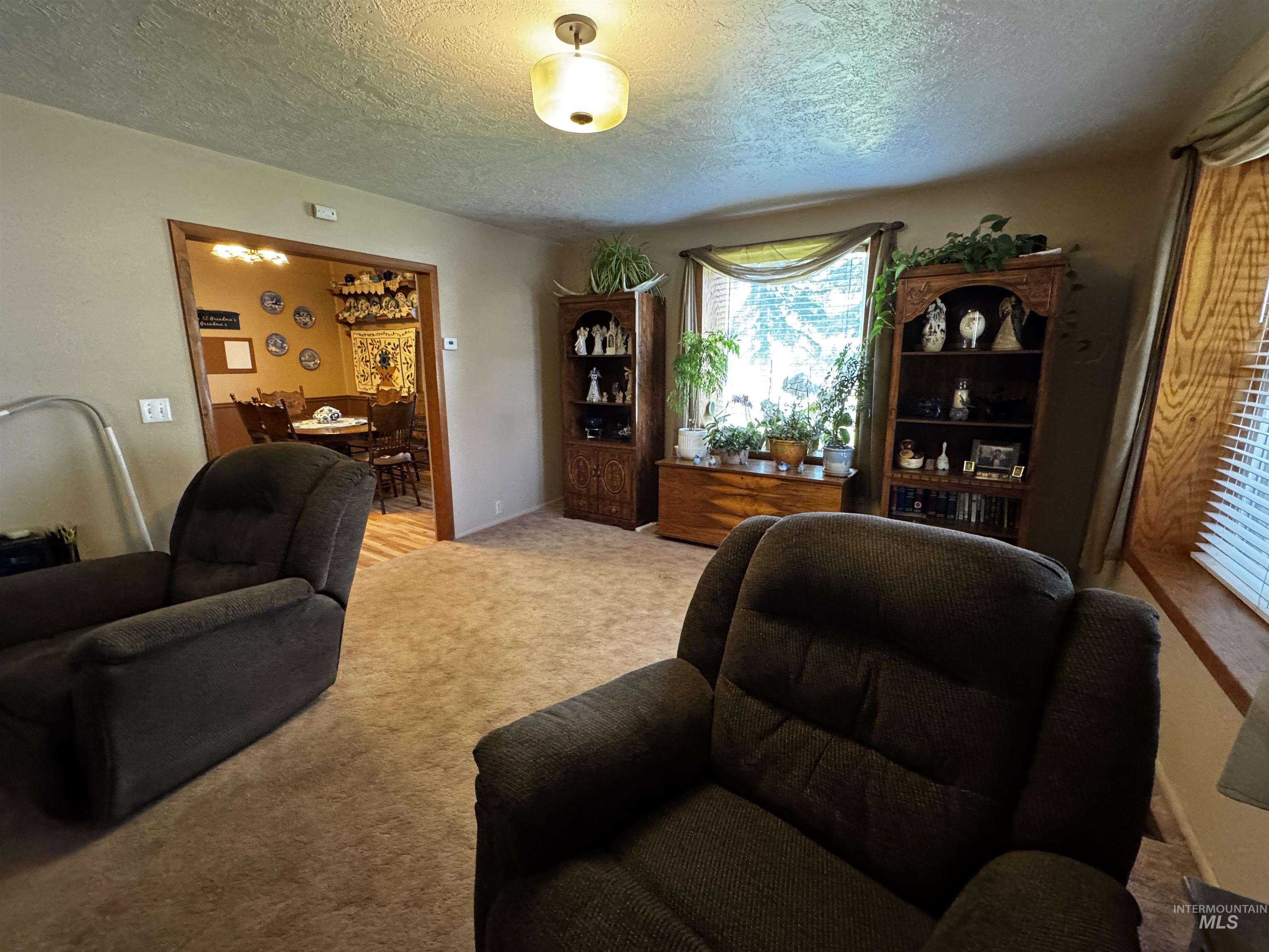 522 North Apple Street Shoshone, ID 83352 - Photo 5 of 42