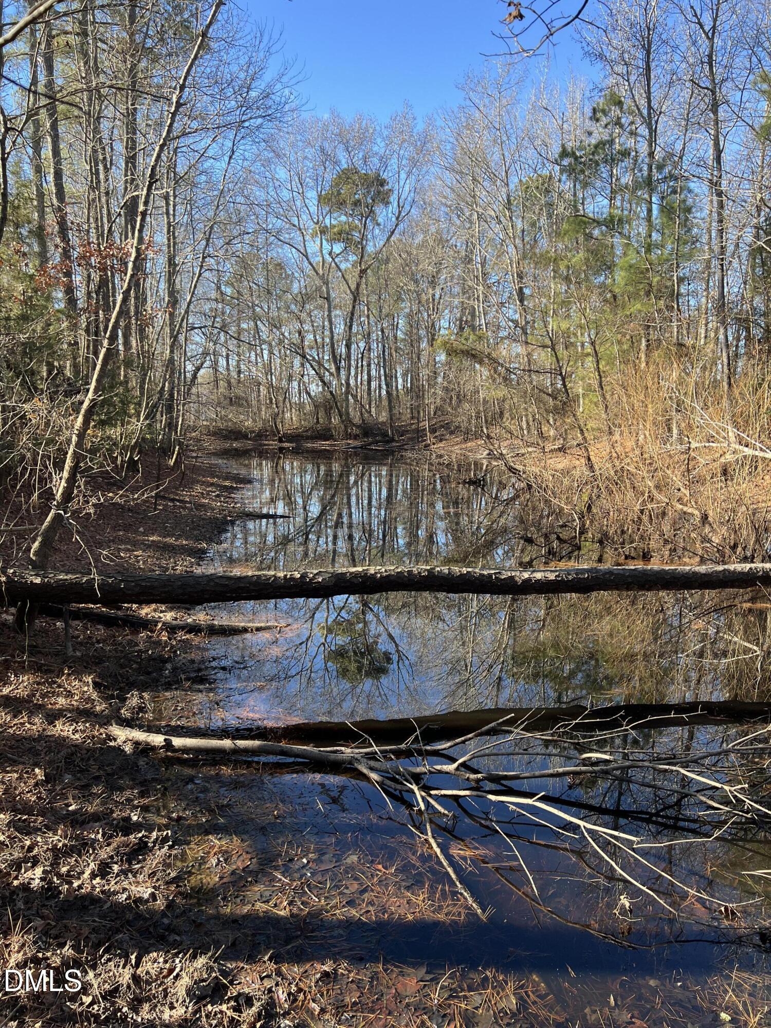 2.55-acres Upchurch Road Zebulon, NC 27597 - Photo 8 of 8 IMG_1789