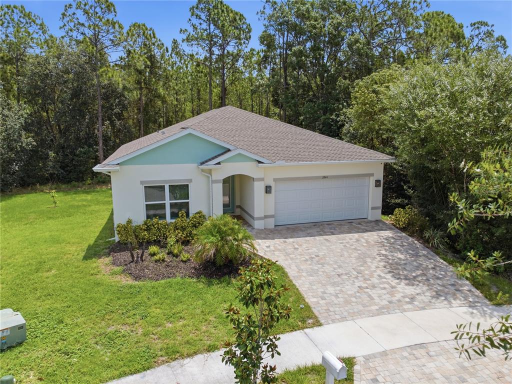 3944 Watson Drive New Port Richey, FL 34655 - Photo 35 of 42