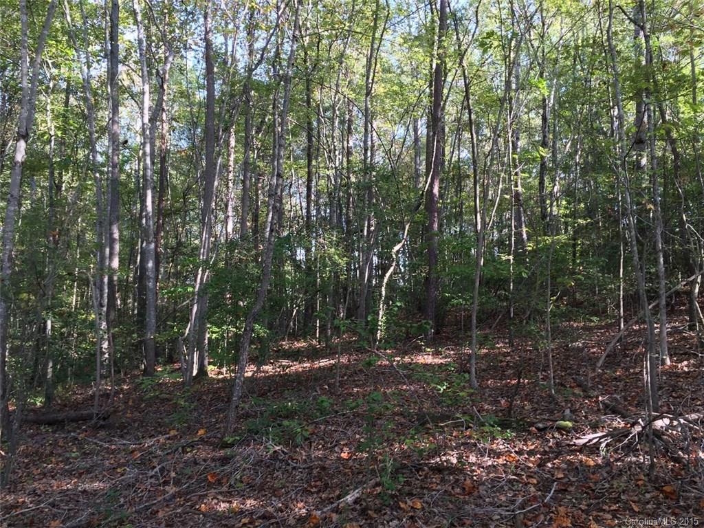 1029 Riddle Oak Lane Clover, SC 29710 - Photo 3 of 5 Gallery Image 3