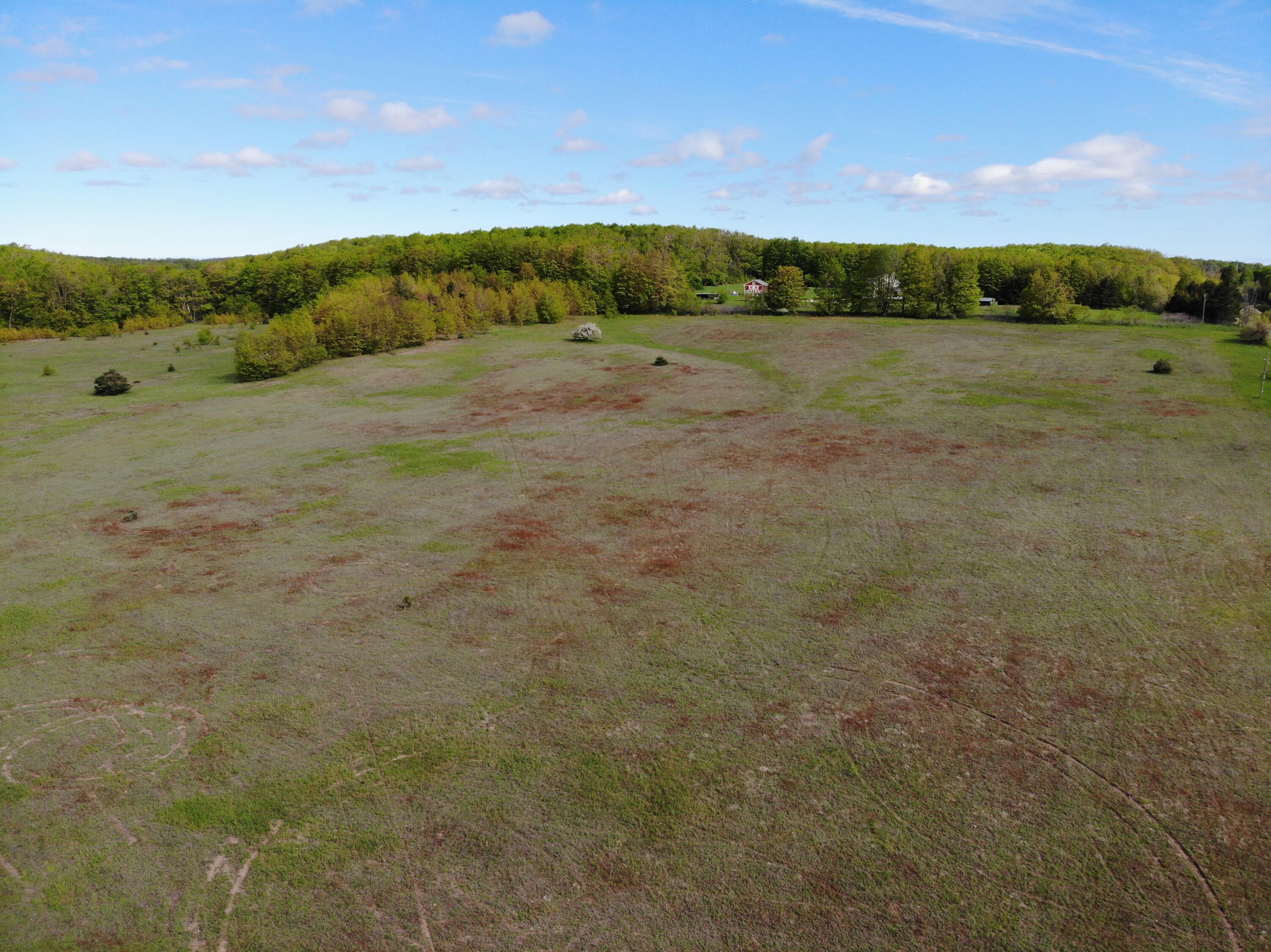 Nichols Road Pellston, MI 49769 - Photo 15 of 32