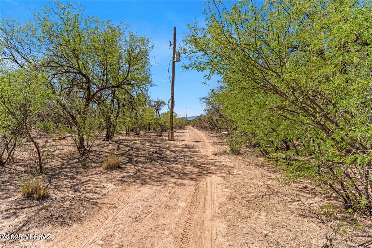 16180 Redington Road Benson, AZ 85602 - Photo 11 of 17 a view of dirt yard with a tree