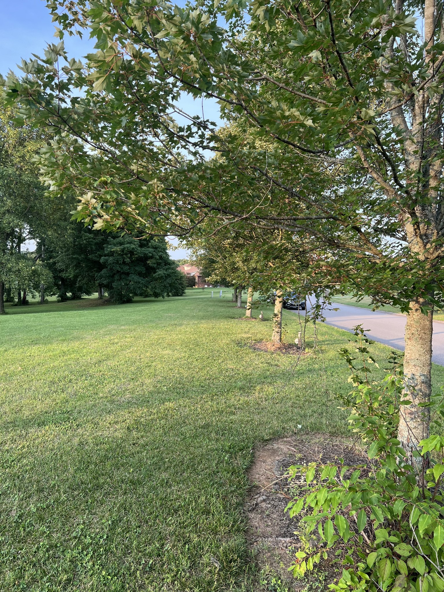 2101 Trieste Trail Adams, TN 37010 - Photo 12 of 17 Gallery Image 12