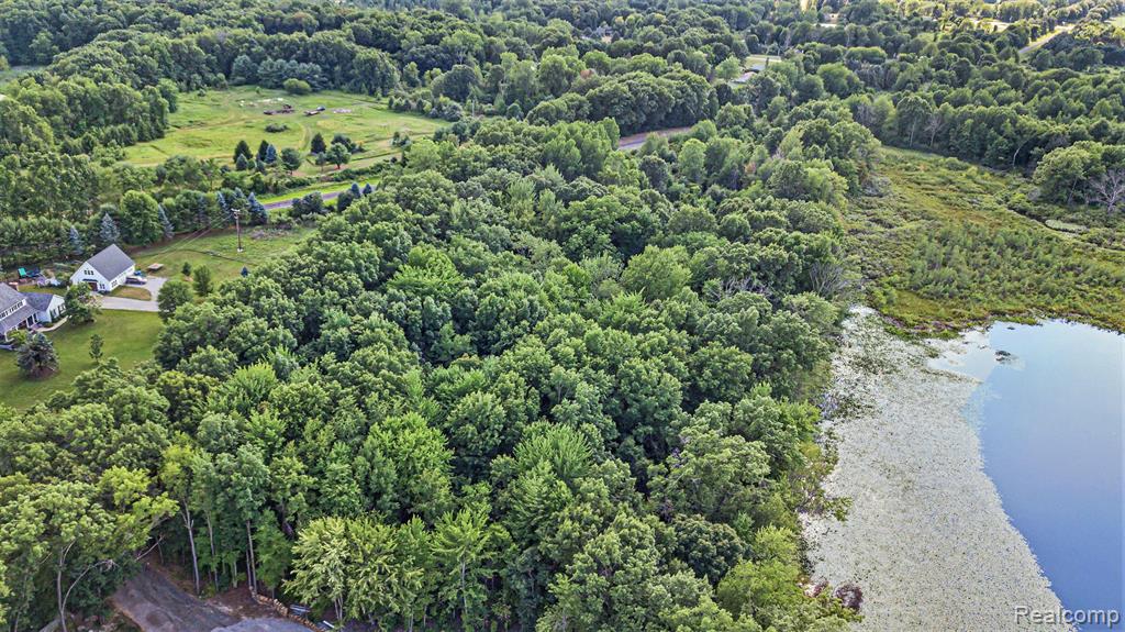 4647 Sweet Road Howell, MI 48843 - Photo 15 of 20