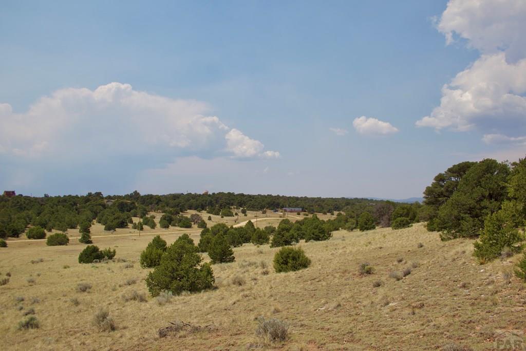 Unit #4 Unit Road Walsenburg, CO 81089 - Photo 11 of 36