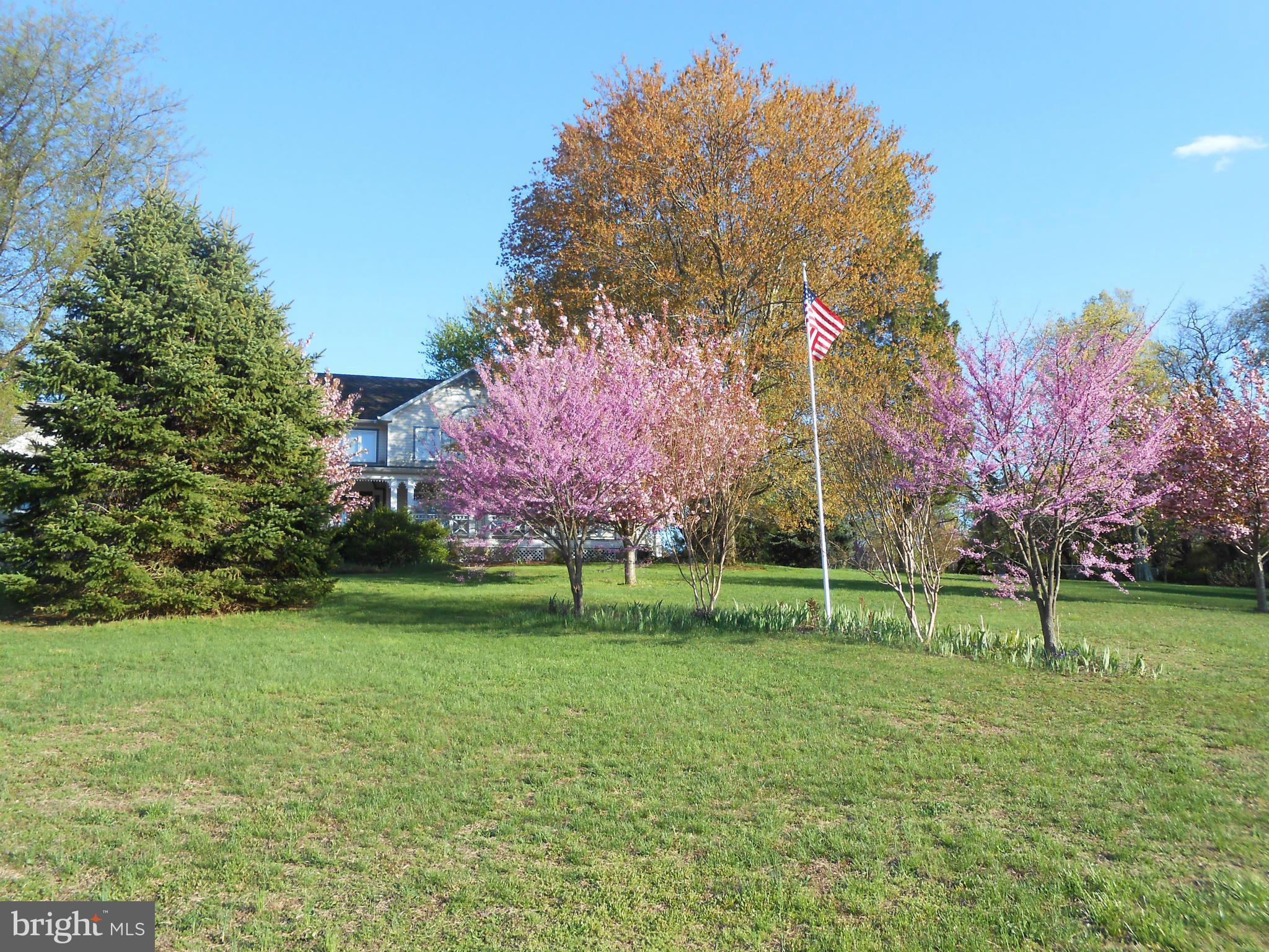 6001 Brooklyn Bridge Road Laurel, MD 20707 - Photo 27 of 28 Front Yard From Road