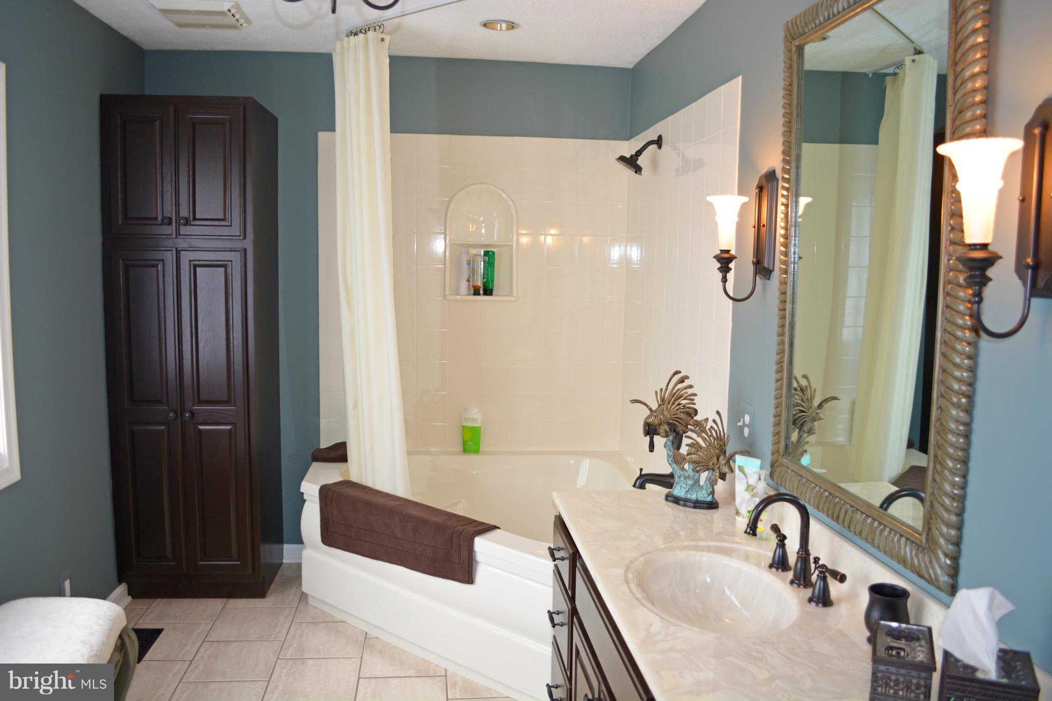 6001 Brooklyn Bridge Road Laurel, MD 20707 - Photo 9 of 28 Master Bathroom