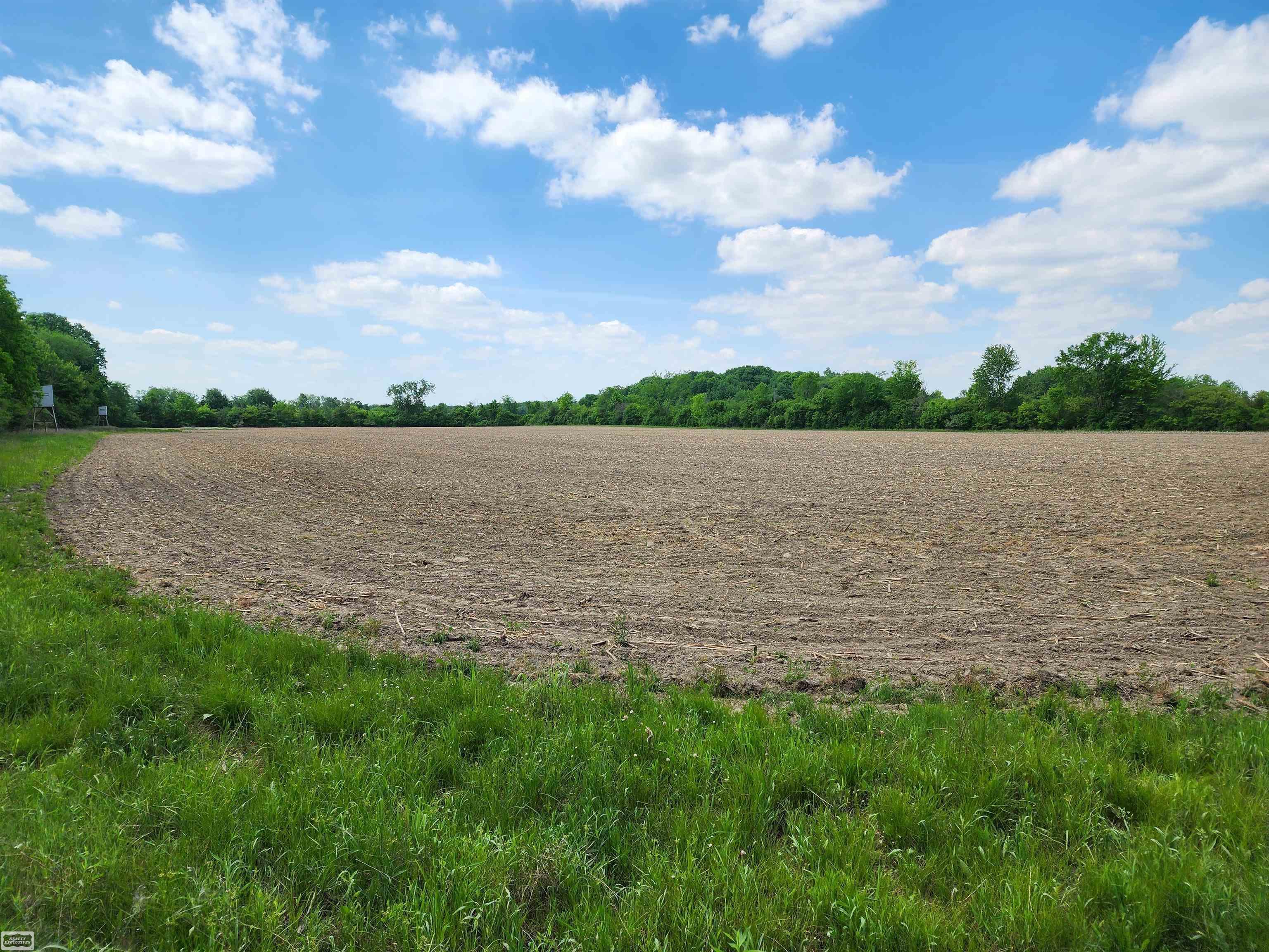 0 Brennan Road Avoca, MI 48006 - Photo 9 of 38