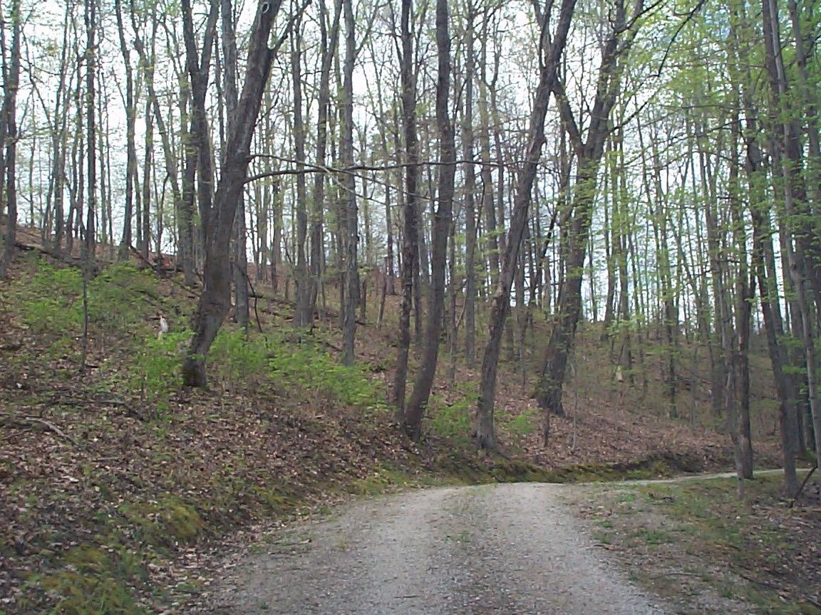 999 Bobcat Road Salt Lick, KY 40371 - Photo 3 of 3 Photo 3