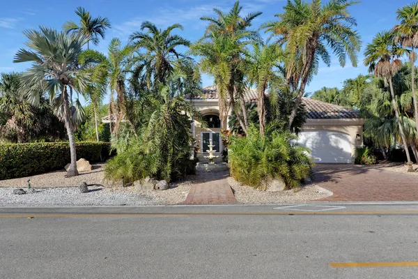 a plant is in front of a house