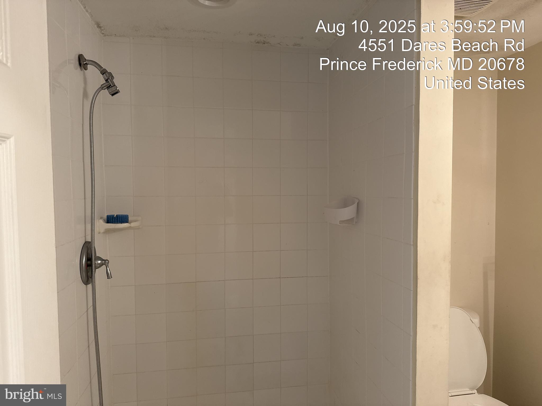 4551 Dares Beach Road Prince Frederick, MD 20678 - Photo 52 of 59 Basement - Full Bath Shower