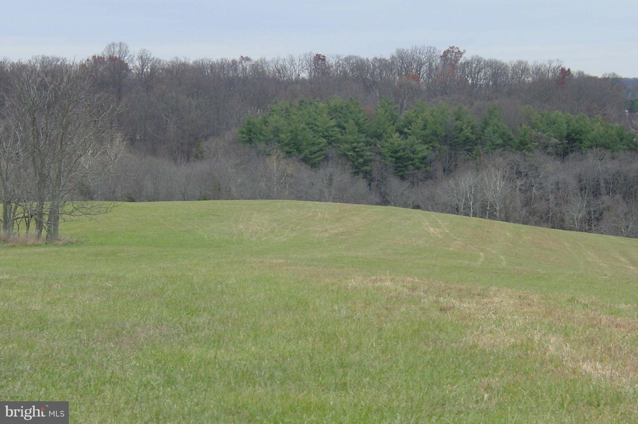 21941 Slidell Road Boyds, MD 20841 - Photo 2 of 7 View