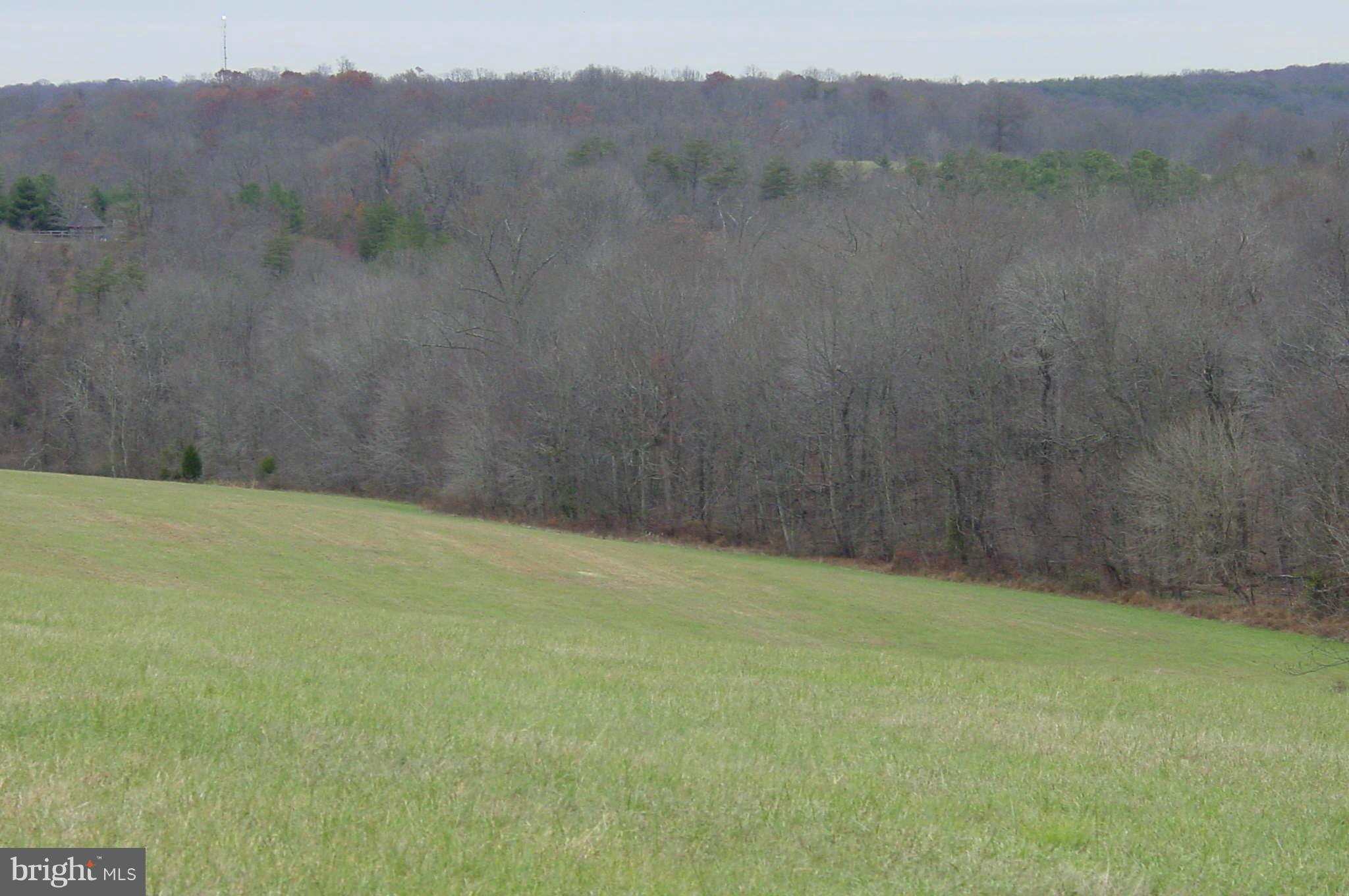 21941 Slidell Road Boyds, MD 20841 - Photo 3 of 7 View