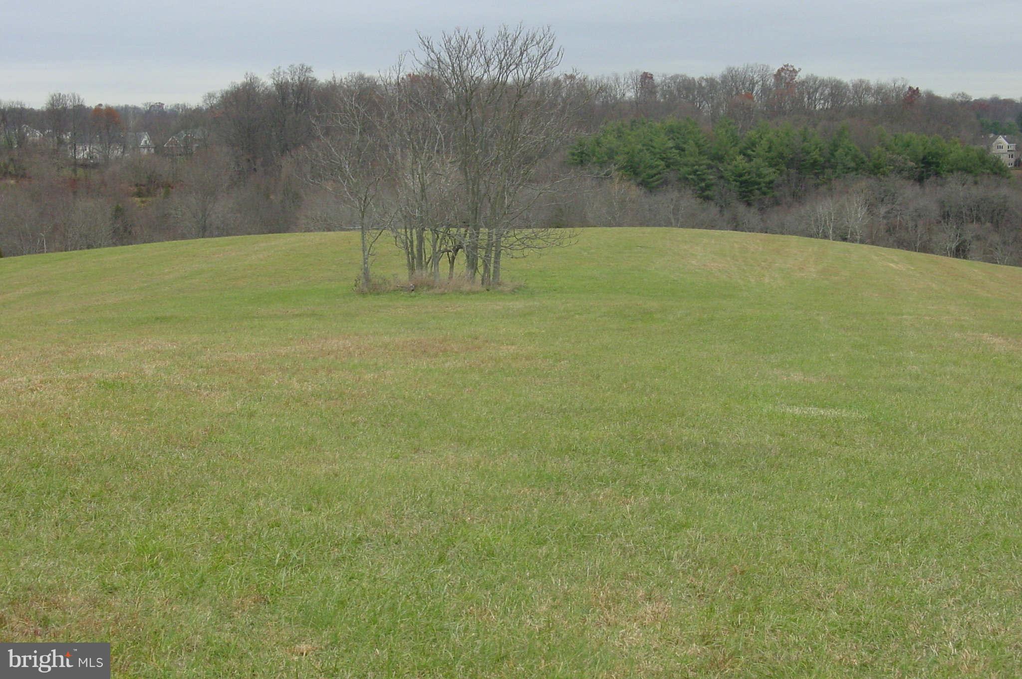 21941 Slidell Road Boyds, MD 20841 - Photo 4 of 7 View