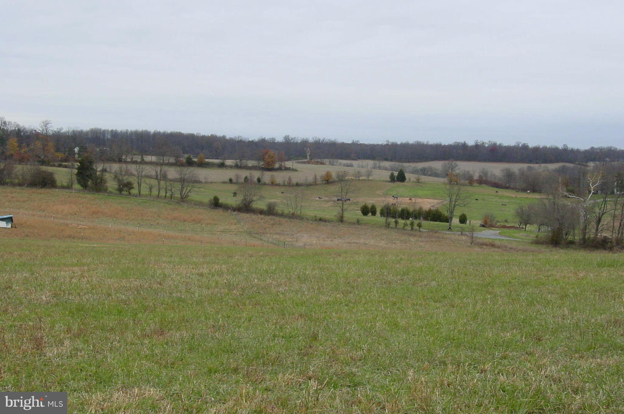 21941 Slidell Road Boyds, MD 20841 - Photo 7 of 7 View