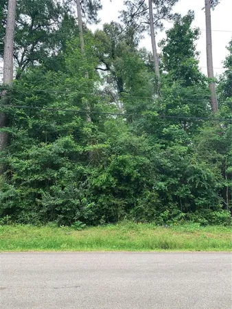 a view of a yard
