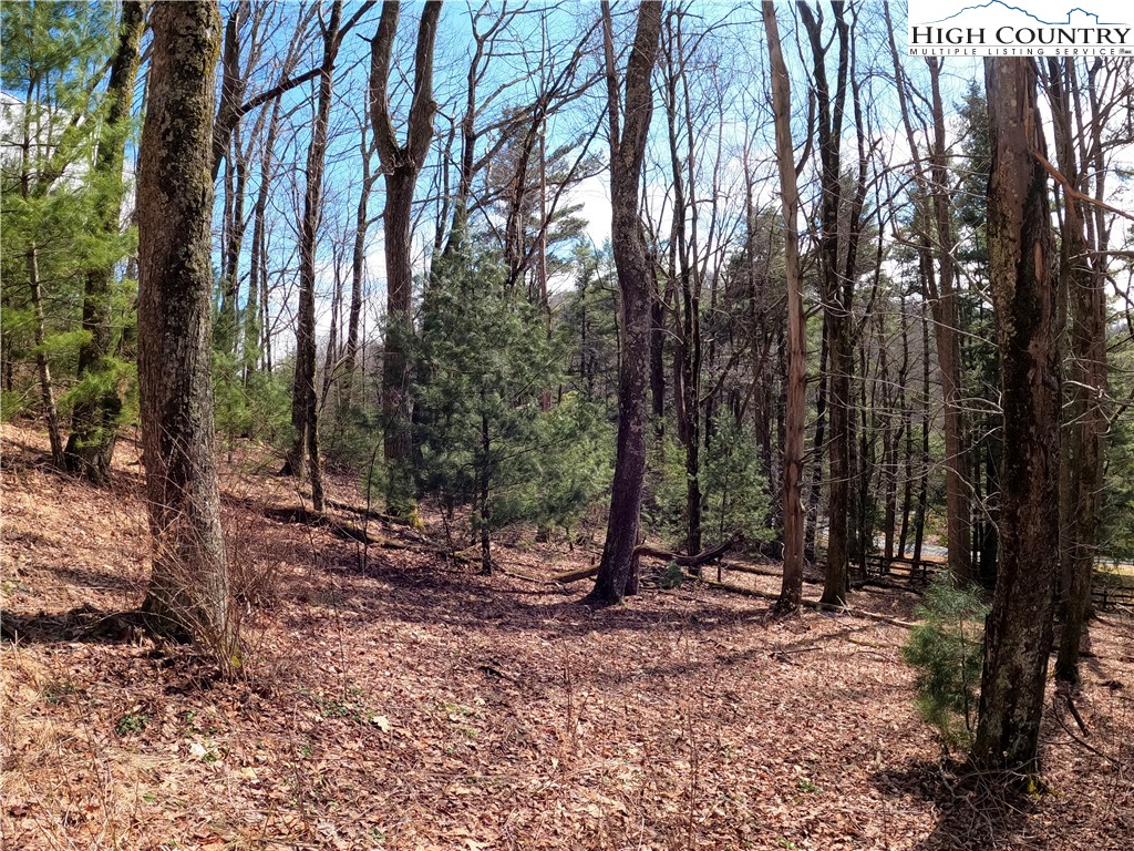 Lot 4 Churchill Downs Boone, NC 28607 - Photo 11 of 29