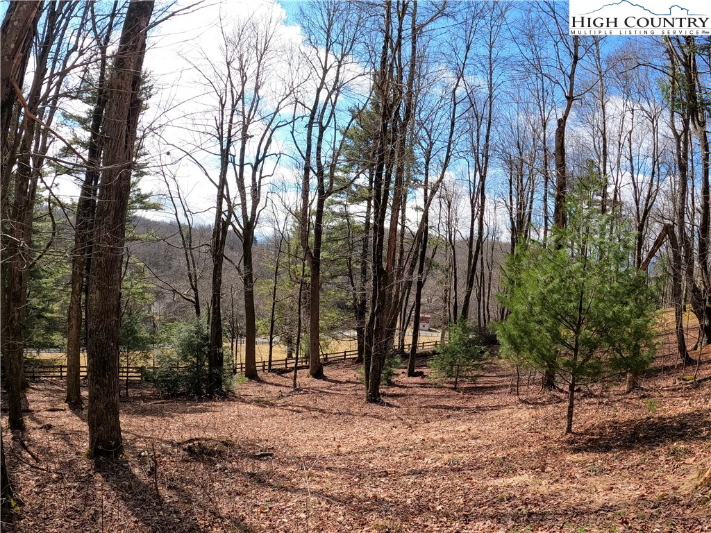 Lot 4 Churchill Downs Boone, NC 28607 - Photo 12 of 29