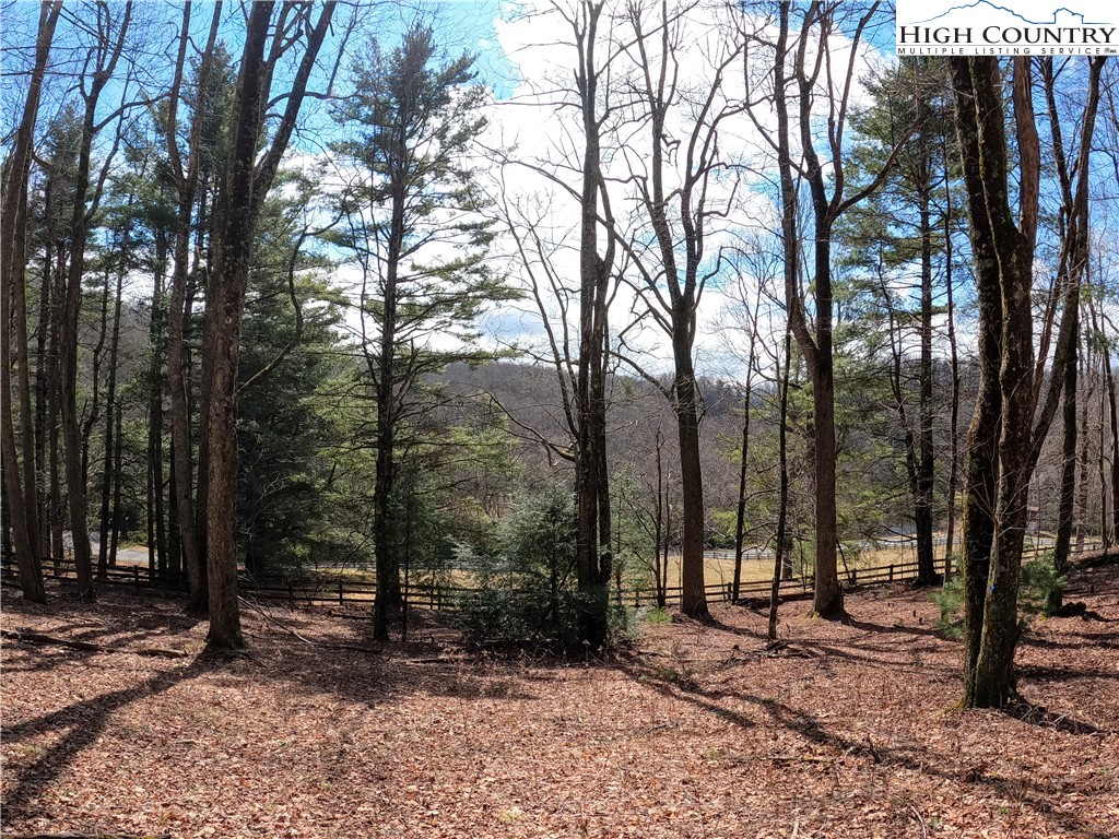 Lot 4 Churchill Downs Boone, NC 28607 - Photo 14 of 29