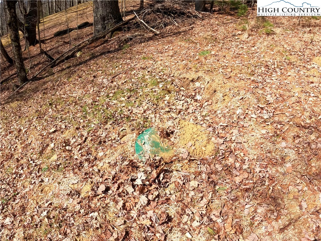 Lot 4 Churchill Downs Boone, NC 28607 - Photo 15 of 29