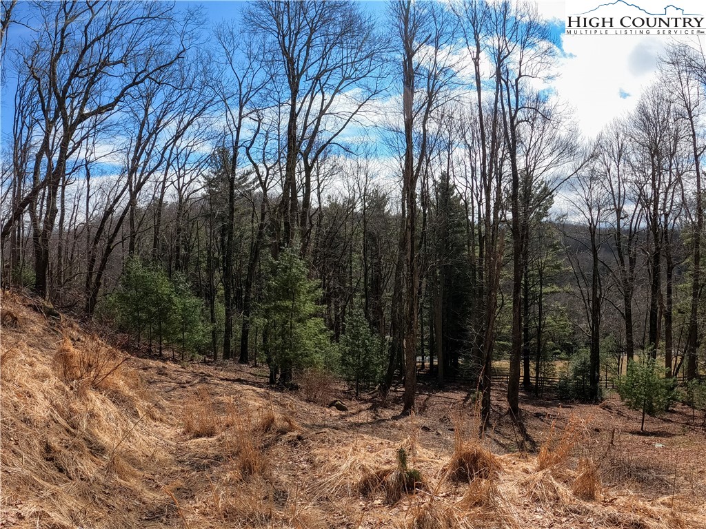 Lot 4 Churchill Downs Boone, NC 28607 - Photo 16 of 29