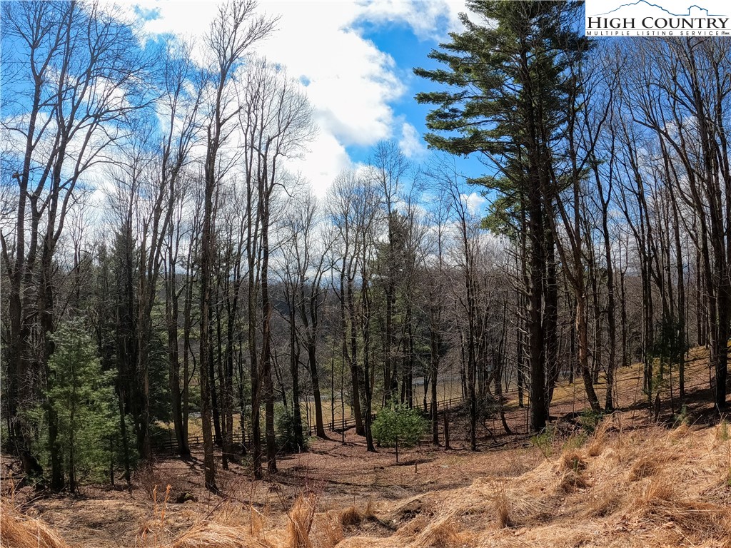 Lot 4 Churchill Downs Boone, NC 28607 - Photo 17 of 29