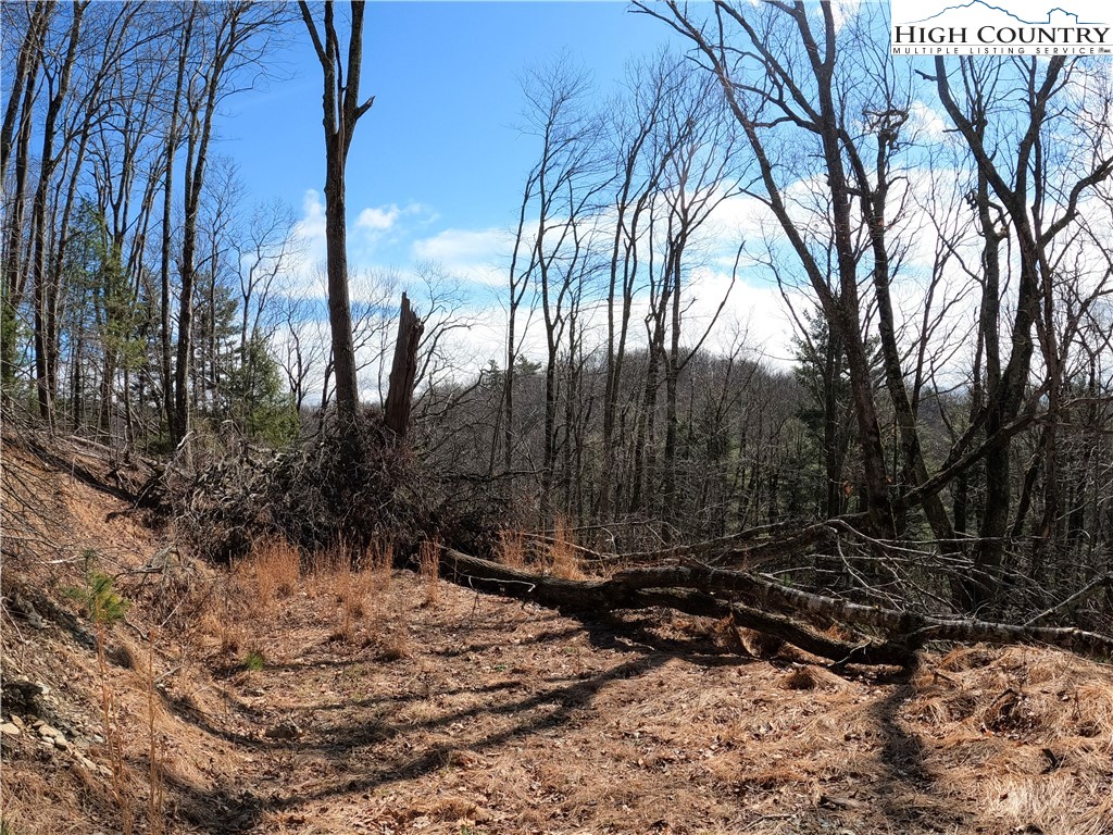 Lot 4 Churchill Downs Boone, NC 28607 - Photo 18 of 29