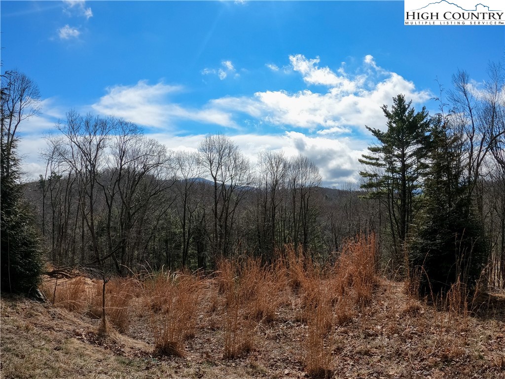 Lot 4 Churchill Downs Boone, NC 28607 - Photo 2 of 29