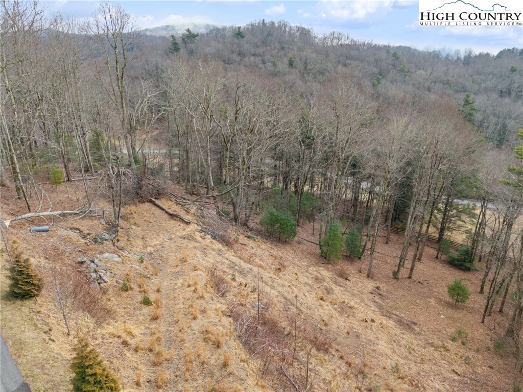 Lot 4 Churchill Downs Boone, NC 28607 - Photo 21 of 29