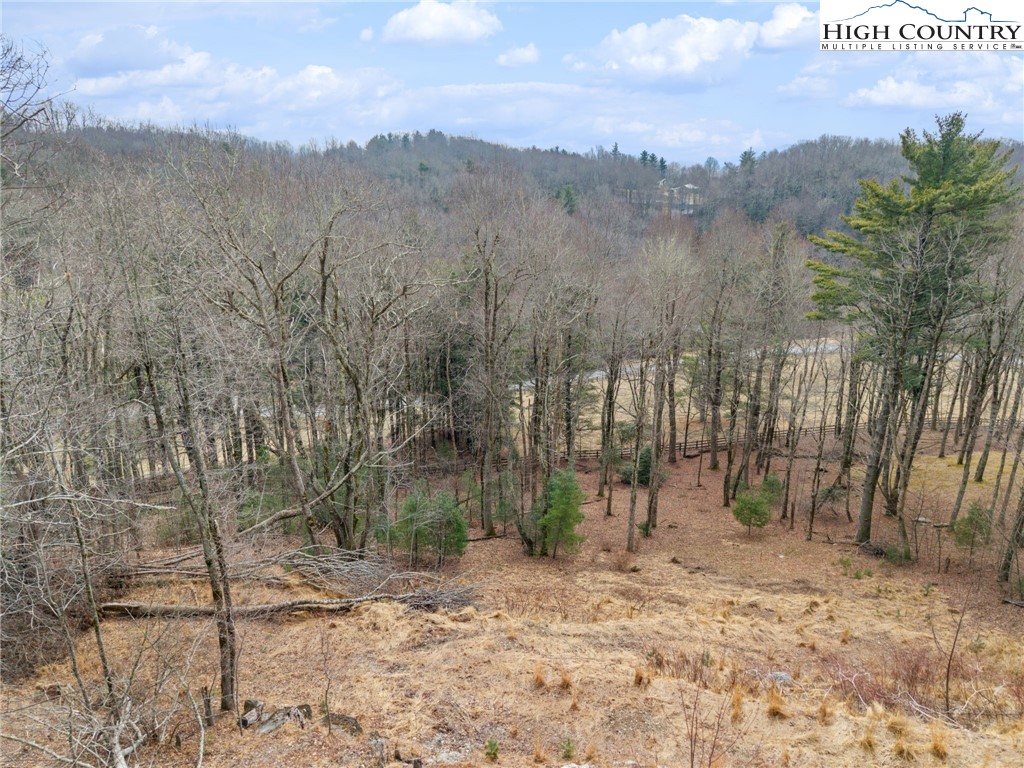 Lot 4 Churchill Downs Boone, NC 28607 - Photo 23 of 29