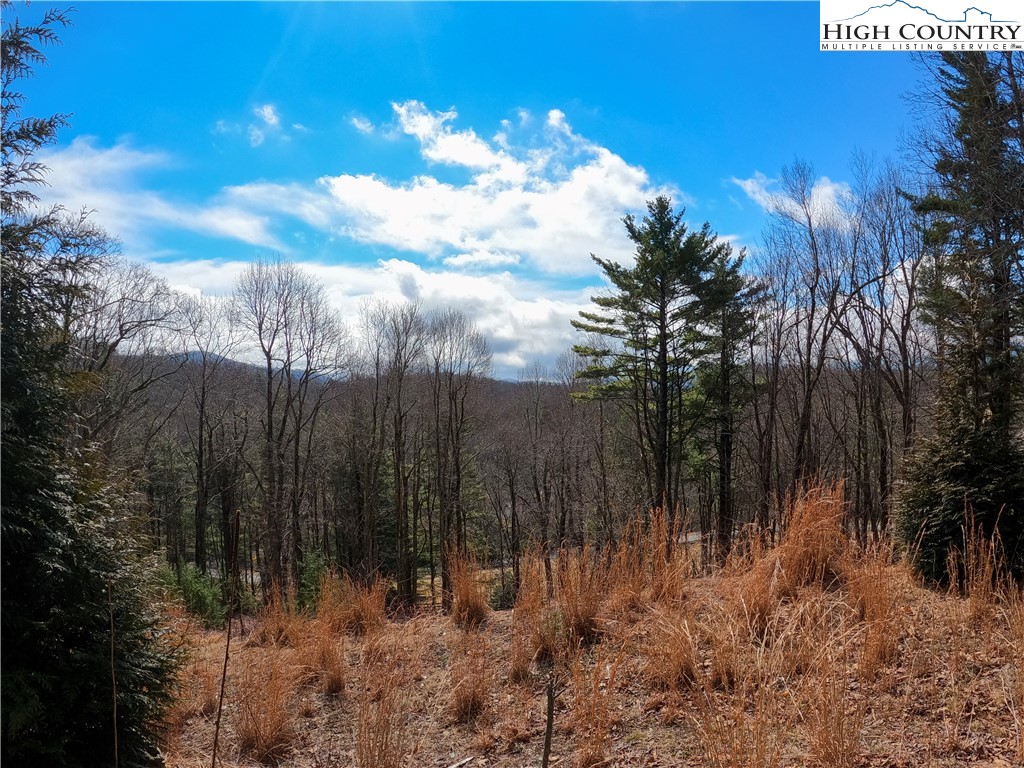 Lot 4 Churchill Downs Boone, NC 28607 - Photo 3 of 29