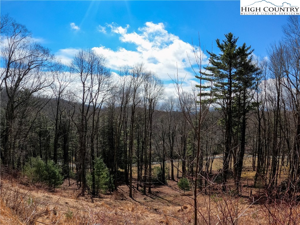 Lot 4 Churchill Downs Boone, NC 28607 - Photo 5 of 29